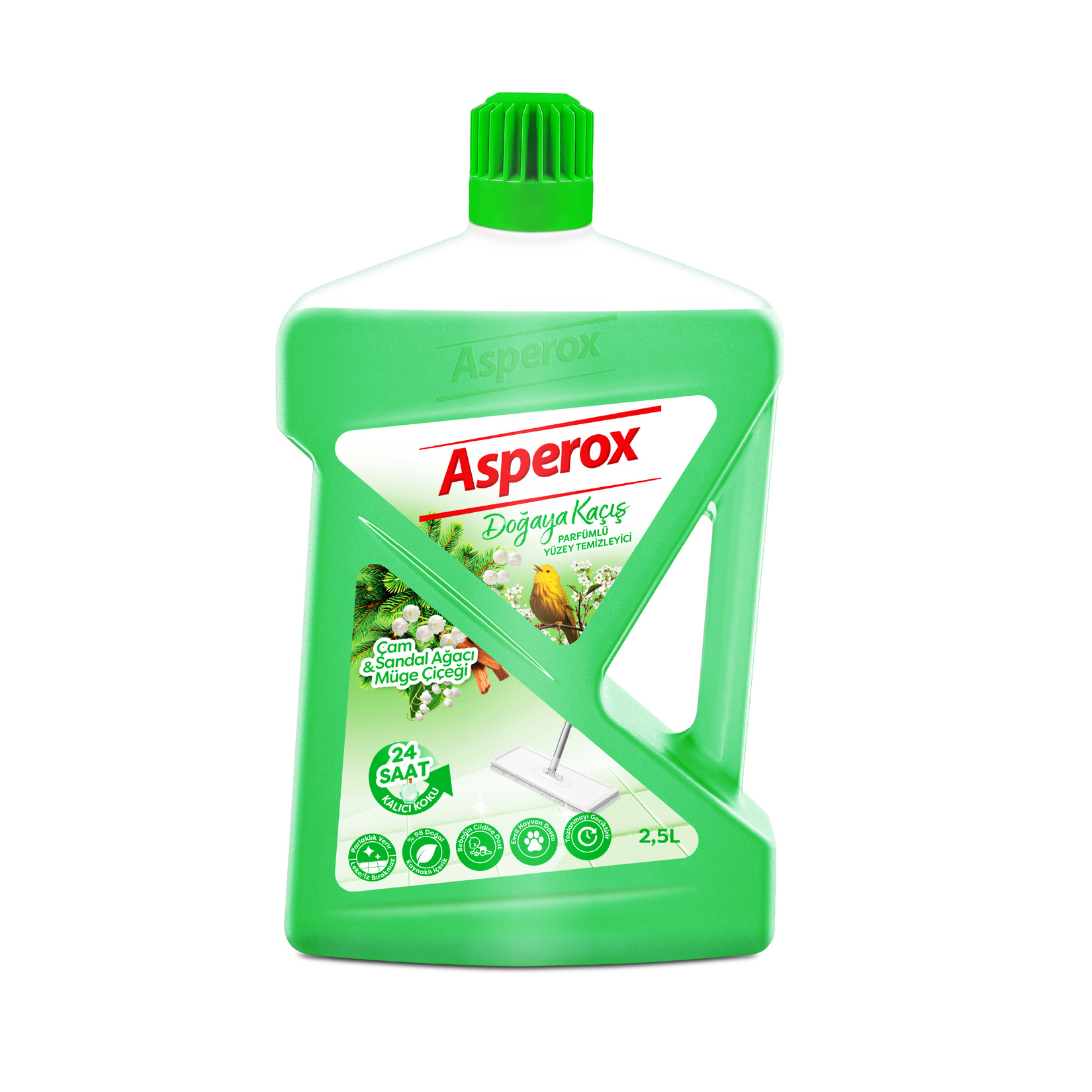 Asperox Yüzey Yeşil
